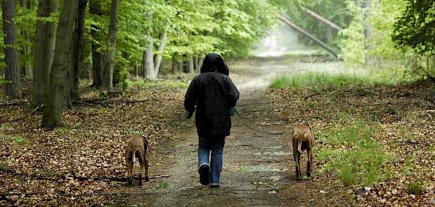 Rossz idő! – A közepében lenni, nem csak kívülről nézni!