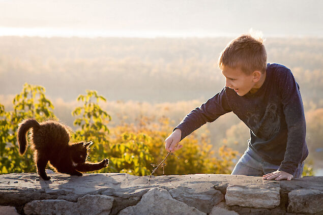 Macskát tartani – döntés a macska mellett, mint házikedvenc