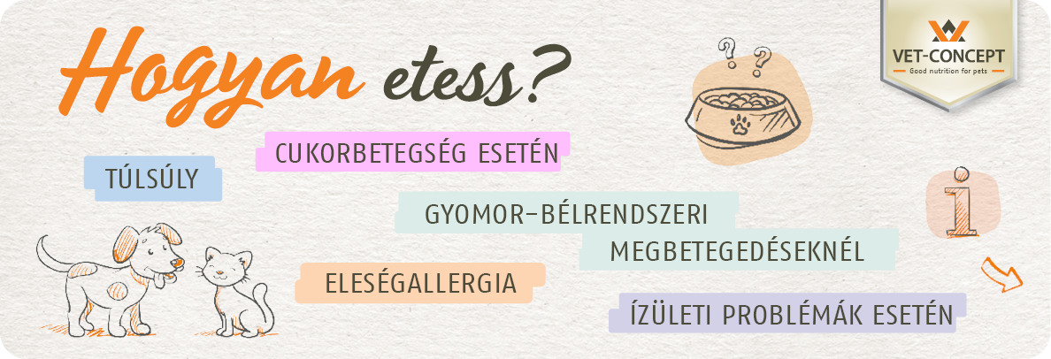 Hogyan etess?